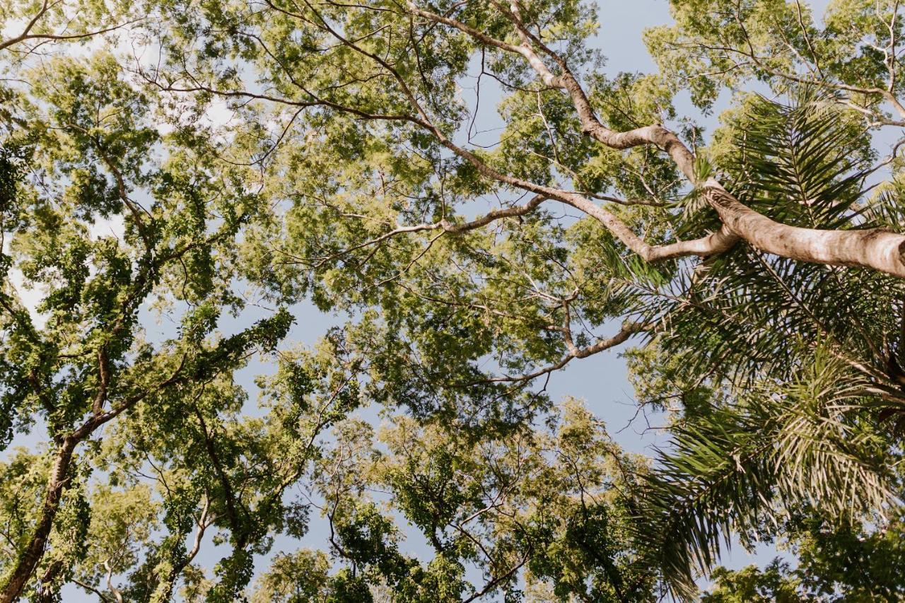 Fazenda Hotel Bem Ecologico Planaltina  Luaran gambar